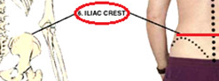 iliac_crest
