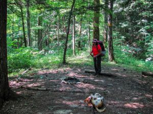 Bison Way Trail - Primitive Camp