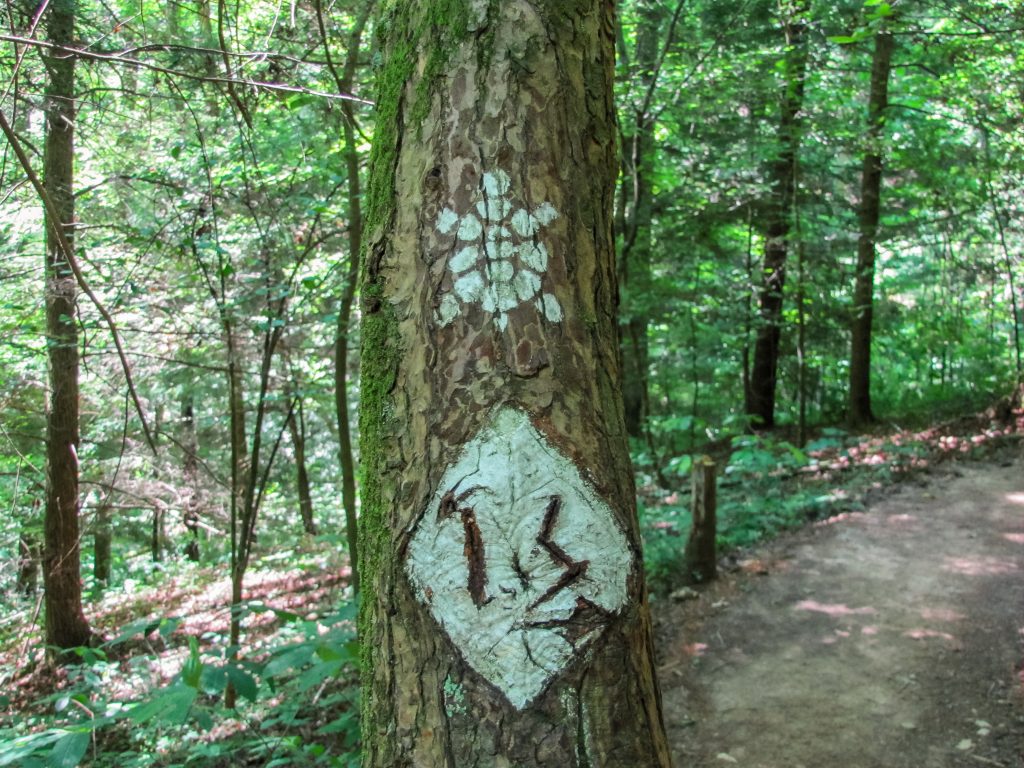 Sheltowee Trace & Indian Staircase Spur
