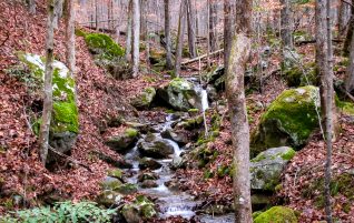 Panther Branch Trail Backpacking – Jan 2017